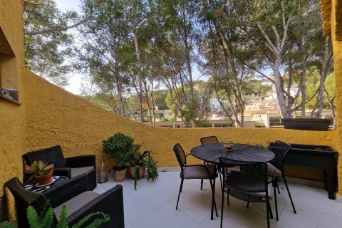 Villa īrēšanai Costa De La Calma, Mallorca, Spānijā 4 istabas, 185 m2 Nr. 113786 - attēls 10