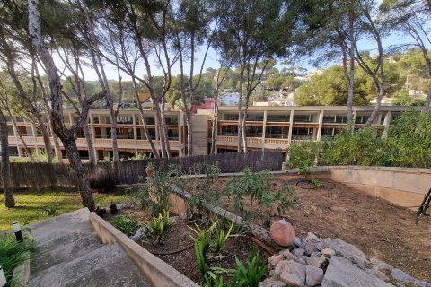 Villa īrēšanai Costa De La Calma, Mallorca, Spānijā 4 istabas, 185 m2 Nr. 113786 - attēls 12