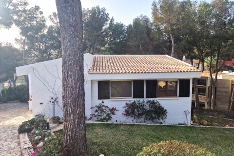 Villa īrēšanai Costa De La Calma, Mallorca, Spānijā 4 istabas, 185 m2 Nr. 113786 - attēls 1