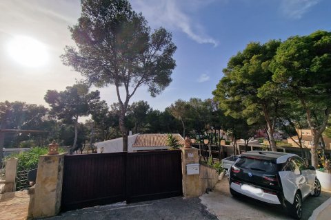 Villa īrēšanai Costa De La Calma, Mallorca, Spānijā 4 istabas, 185 m2 Nr. 113786 - attēls 15