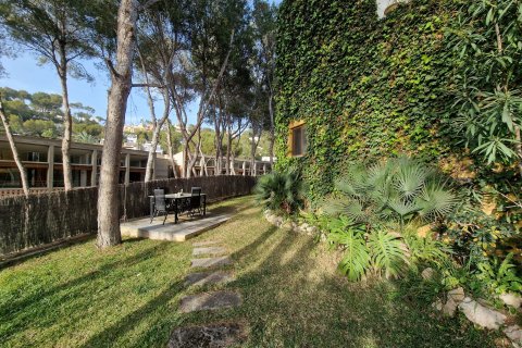 Villa īrēšanai Costa De La Calma, Mallorca, Spānijā 4 istabas, 185 m2 Nr. 113786 - attēls 11