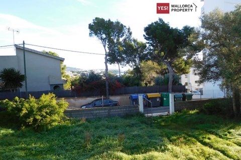 Land plot for sale in Palmanova, Mallorca, Spain 400 sq.m. No. 181141 - photo 9