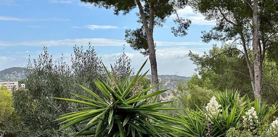 Land plot in Palmanova, Mallorca, Spain 400 sq.m. No. 181141