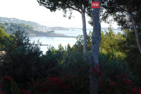 Land plot for sale in Palmanova, Mallorca, Spain 400 sq.m. No. 181141 - photo 7