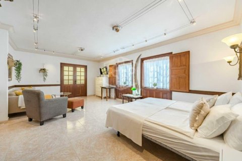 Lokal usługowy Guia de Isora, Tenerife, Hiszpania 368 mkw. nr 139103 – zdjęcie 28