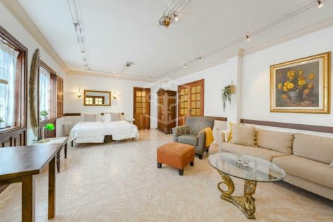 Lokal usługowy Guia de Isora, Tenerife, Hiszpania 368 mkw. nr 139103 – zdjęcie 30