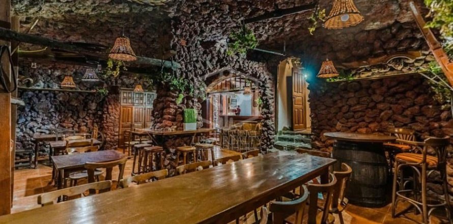 Lokal usługowy Guia de Isora, Tenerife, Hiszpania 368 mkw. nr 139103