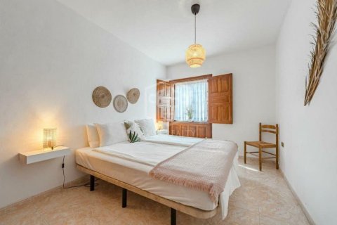 Lokal usługowy Guia de Isora, Tenerife, Hiszpania 368 mkw. nr 139103 – zdjęcie 23