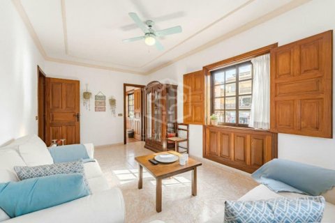 Lokal usługowy Guia de Isora, Tenerife, Hiszpania 368 mkw. nr 139103 – zdjęcie 17