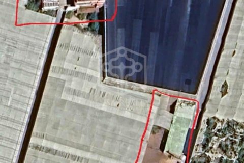 Villa till salu Arona, Tenerife, Spanien Nr. 139100 - foto 11