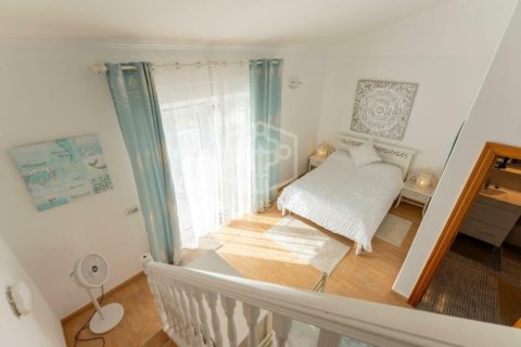 Villa till salu Adeje, Tenerife, Spanien 11 sovrum, 769 kvm. Nr. 139101 - foto 13