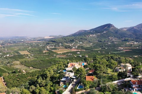 Villa till salu i Alzira, Valencia, Spanien 6 sovrum, 206 kvm. Nr. 143607 - foto 5