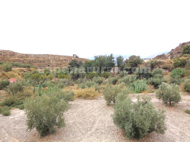 Talo Lucar, Almeria, Espanja 5 makuuhuonetta, 164 m2 No. 78034