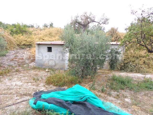 Talo Lucar, Almeria, Espanja 5 makuuhuonetta, 164 m2 No. 78034