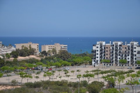 Apartment for sale Mil Palmeras, Alicante, Spain 3 bedrooms, 86 sq.m. No. 119203 - photo 22