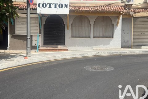 Komerciāls īpašums Palma de Majorca, Mallorca, Spānijā 250 m2 Nr. 188492