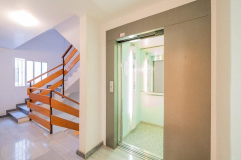 Apartament Torrevieja, Alicante, Hiszpania 3 sypialnie, 129 mkw. nr 138743 – zdjęcie 8