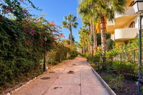 Apartment for sale in Punta Prima, Alicante, Spain 2 bedrooms, 119 sq.m. No. 144391 - photo 30