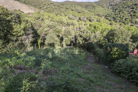 Terreno in vendita a Alella, Barcelona, Spagna N° 192561 - foto 6