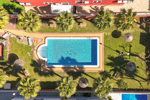 Bungalow zum Verkauf in Torrevieja, Alicante, Spanien 2 Schlafzimmer, 61 m2 Nr. 156080 - Foto 29