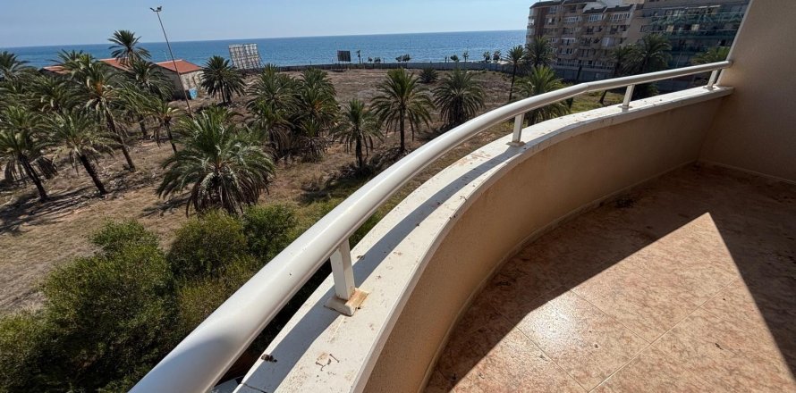 Apartment à Torrevieja, Alicante, Espagne 3 chambres,  No. 156082