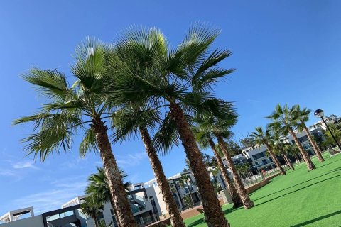 Bungalowi myytävänä Guardamar del Segura, Alicante, Espanja, 2 makuuhuonetta, 65 m2 No. 137661 - kuva 18