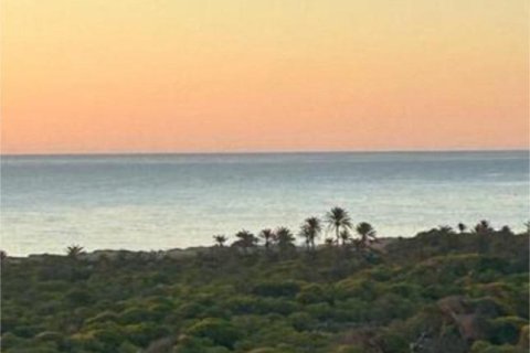 Wohnung zum Verkauf Guardamar del Segura, Alicante, Spanien 3 Schlafzimmer, 96 m2 Nr. 137659 - Foto 1