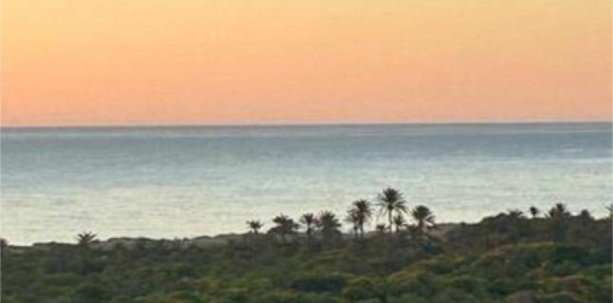 Wohnung Guardamar del Segura, Alicante, Spanien 3 Schlafzimmer, 96 m2 Nr. 137659