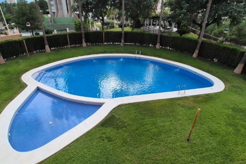 Dzīvoklis pārdošanā Benidorm, Alicante, Spānijā 1 istaba, 68 m2 Nr. 165521 - attēls 16