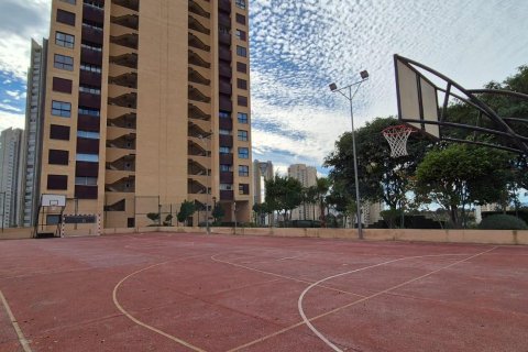 Dzīvoklis pārdošanā Benidorm, Alicante, Spānijā 1 istaba, 68 m2 Nr. 165521 - attēls 14