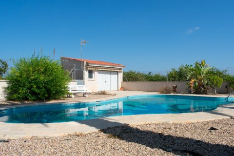 Villa in vendita Guardamar del Segura, Alicante, Spagna 3 camere da letto, 167 mq. N° 135666 - foto 6