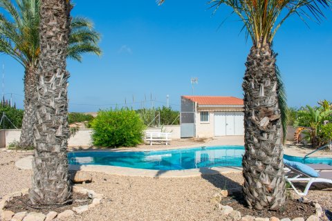Villa in vendita Guardamar del Segura, Alicante, Spagna 3 camere da letto, 167 mq. N° 135666 - foto 11