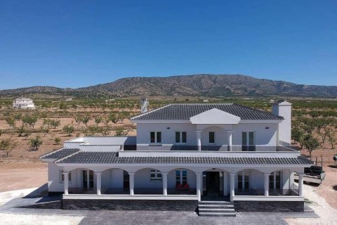 Villa à Pinoso, Alicante, Espagne 4 chambres, 245 m2 No. 170570