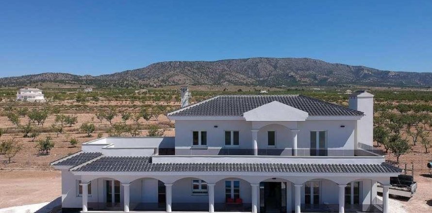 Villa i Pinoso, Alicante, Spanien 4 sovrum, 245 kvm. Nr. 170570