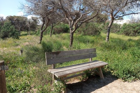 Bungalow zum Verkauf in Guardamar del Segura, Alicante, Spanien 2 Schlafzimmer,  Nr. 156097 - Foto 28