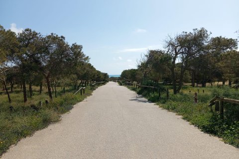 Bungalow zum Verkauf in Guardamar del Segura, Alicante, Spanien 2 Schlafzimmer,  Nr. 156097 - Foto 29