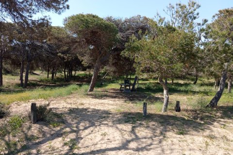 Bungalow zum Verkauf in Guardamar del Segura, Alicante, Spanien 2 Schlafzimmer,  Nr. 156097 - Foto 30