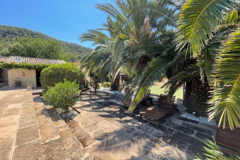Finca for rent in Andratx, Mallorca, Spain 7 bedrooms, 1126 sq.m. No. 148592 - photo 24