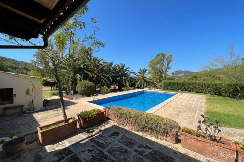 Finca for rent in Andratx, Mallorca, Spain 7 bedrooms, 1126 sq.m. No. 148592 - photo 22