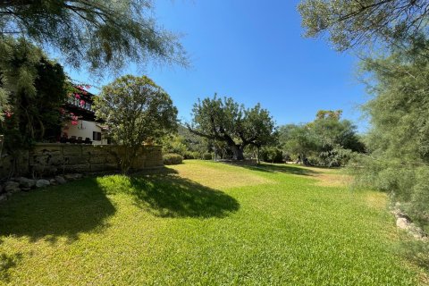 Finca for rent in Andratx, Mallorca, Spain 7 bedrooms, 1126 sq.m. No. 148592 - photo 25