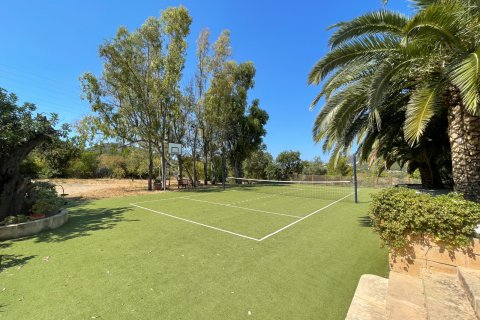 Finca for rent in Andratx, Mallorca, Spain 7 bedrooms, 1126 sq.m. No. 148592 - photo 23