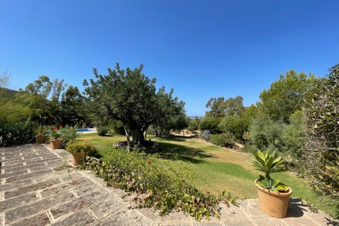 Finca for rent in Andratx, Mallorca, Spain 7 bedrooms, 1126 sq.m. No. 148592 - photo 26