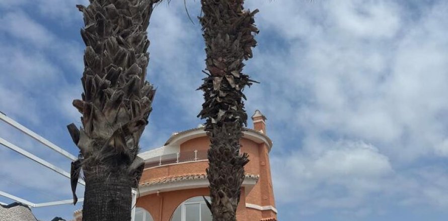 Villa i Ciudad Quesada, Alicante, Spanien 3 sovrum, 266 kvm. Nr. 195258