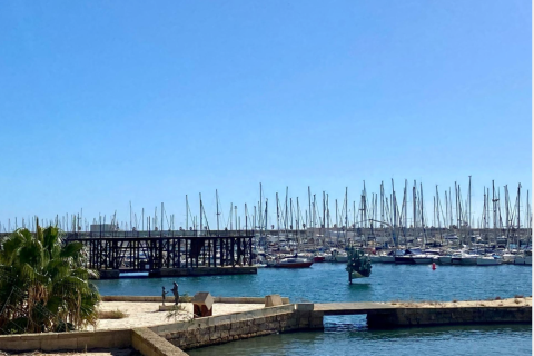 Продажа квартиры в Торревьеха, Аликанте, Испания 3 спальни, 98м2 №146149 - фото 5