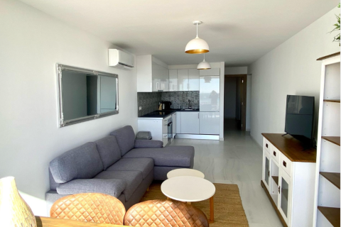 Продажа квартиры в Торревьеха, Аликанте, Испания 3 спальни, 98м2 №146149 - фото 9