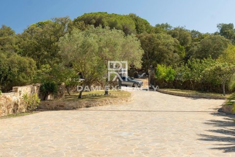 Willa w Platja D'aro, Girona, Hiszpania 5 sypialni, 400 mkw. nr 176762 – zdjęcie 12