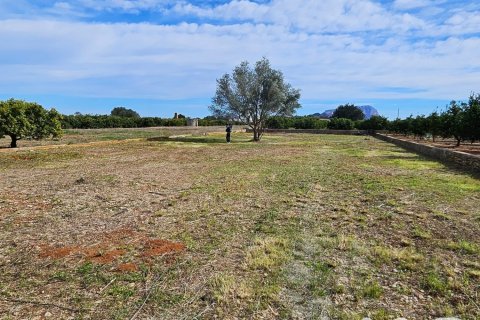 Zemes gabals Benidoleig, Alicante, Spānijā 1445 m2 Nr. 184628