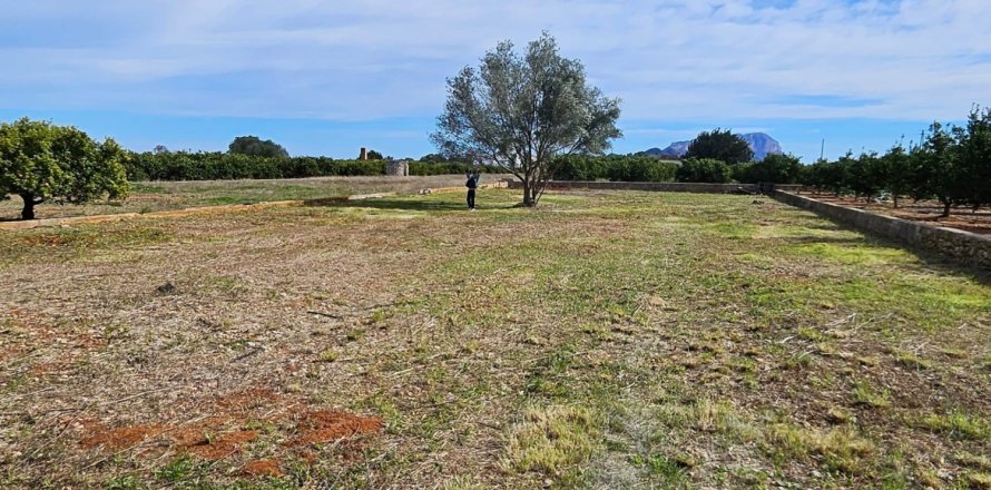 Terreno a Benidoleig, Alicante, Spagna 1445 mq. N° 184628
