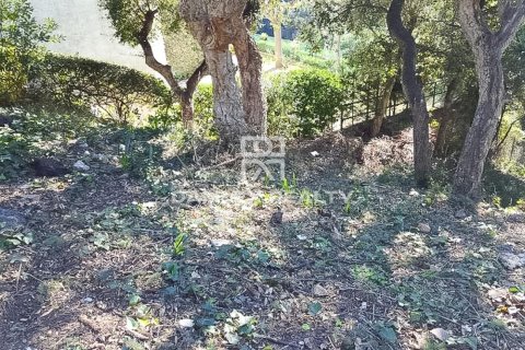 Parcela en venta en Tossa de Mar, Gerona, España 555 m2 No. 184620 - foto 3