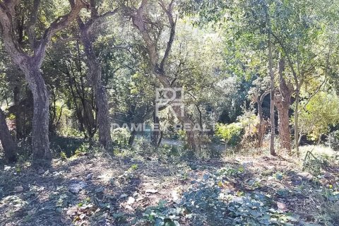 Parcela en Tossa de Mar, Gerona, España 555 m2 No. 184620
